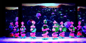 自貢市金秋藝術團六周年慶典原創(chuàng)文藝匯演圓滿落幕，彰顯本土創(chuàng)作與表演魅力